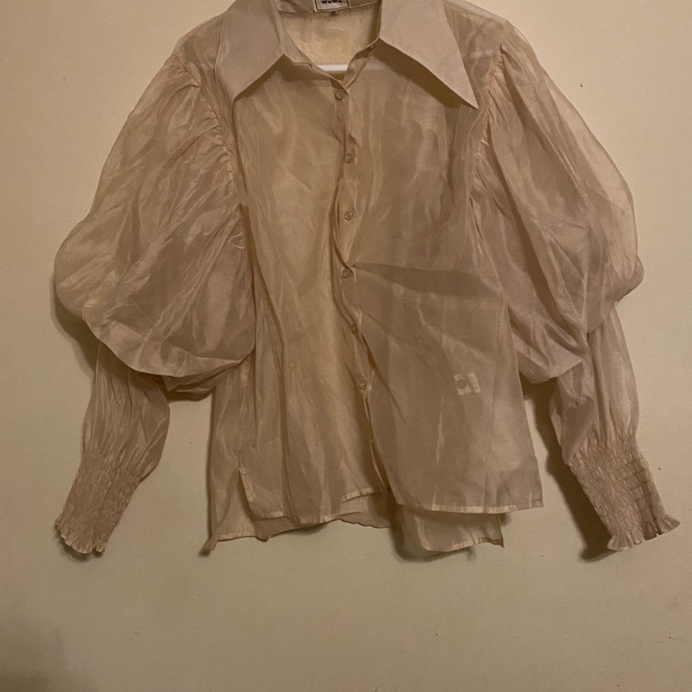 Tan Sheer Blouse with Puff Sleeves and Notched Collar
